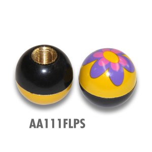 Photo4: Air Valve