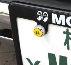 Additional Images1: More License Plate Bolts...