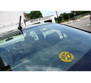 Photo2: MOONEYES Surfin' Craze Decal