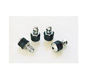 Photo1: Air Valve Stem