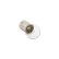 Photo2: Light Bulb 12V8W (2)