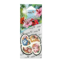 Hibiscus Air Freshener -Squash X-