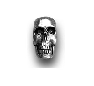Photo1: Air Cleaner Nuts: Chrome Skull