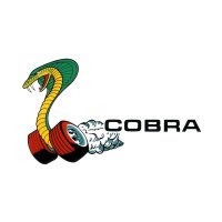 HOT ROD Sticker COBRA Window Decal