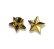 Photo1: StarAirValve Gold (1)