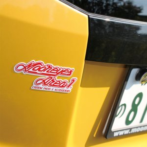 Photo2: MOONEYES Area-1 Decal