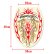 Photo3: MOON Red Flames Toilet Lid Sticker (3)