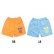 Photo3: MOON Palm Tree Nylon Short Pants (3)