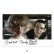 Photo4: American Graffiti Printings with Autograph (C) (4)