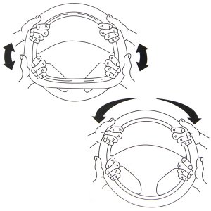 Photo3: CHEVROLET Steering Wheel Cover
