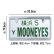 Photo3: Std. License Plate Frame Chrome Plain 【MG058】 (3)
