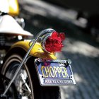 Additional Images1: 33-36 Rat Fink Tail Lens Only