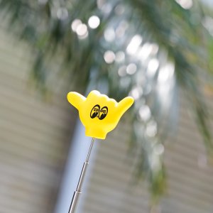 Photo1: MOON "Shaka" Antenna Topper
