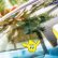 Photo1: MOON Shaka Air Freshener (1)