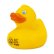 Photo2: MOON Rubber Duck (2)