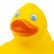 Photo6: MOON Rubber Duck (6)