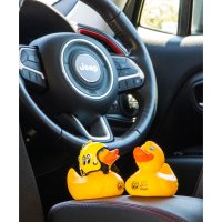 MOON Rubber Duck