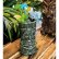 Photo1: Tiki MOON Mug (1)