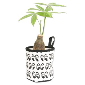 Photo3: MOON Plant Cover 【S size】