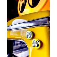 MOON Eyeball Can Magnet Set