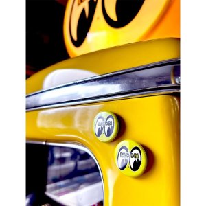 Photo1: MOON Eyeball Can Magnet Set