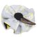 Photo3: MOONEYES Hair Clip Ribbon (3)
