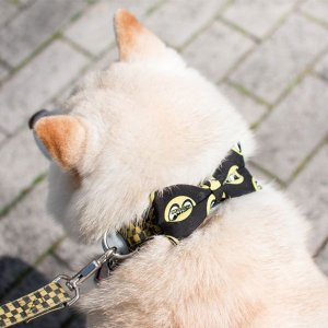 Photo4: MOON Puppy Ribbon