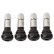 Photo1: Chrome Air Valve Stem (1)