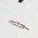 Photo5: SCN Hokkaido  2024 “ああ健一郎(Aa Kenichiro)” T-shirt (5)