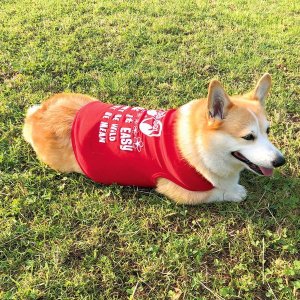 Photo8: Take it Easy Doggie T-shirt