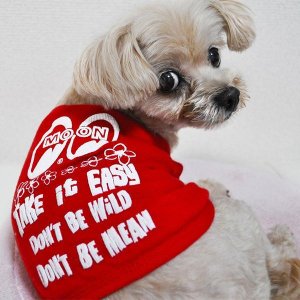 Photo3: Take it Easy Doggie T-shirt