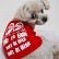 Photo3: Take it Easy Doggie T-shirt (3)
