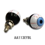 Photo: License Bolt Eyeball Blue