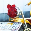 Photo3: 33-36 Rat Fink Tail Lens Only (3)
