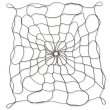 Photo2: Spidy Gear Bed Webb (Black; Small) (2)