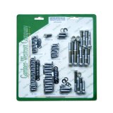 Photo: S/B Chevy Chrome Plated engine bolt set