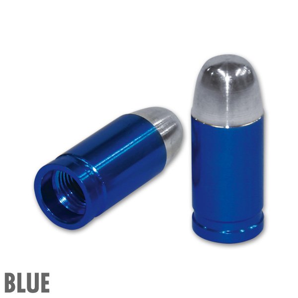 Photo4: Bullet Air Valve (4)