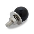 Photo2: MOON Equipped License Bolt (2)