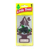 Photo: Little Tree Air Freshener Black Berry