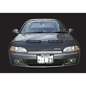 Photo: USA Genuine Hood Guard Bra