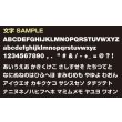 Photo4: Original Custom License Plate Frame Black for Motorcycle (4)