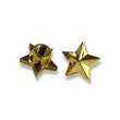 Photo1: StarAirValve Gold (1)