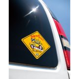 Photo: MOON Baby on Board Decal