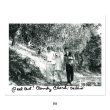 Photo6: American Graffiti Printings with Autograph (D) (6)