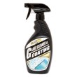 Photo2: GOLD RUSH Glass Cleaner & Coating (2)