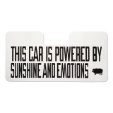 Photo: PORKCHOP Sunshade 3rd