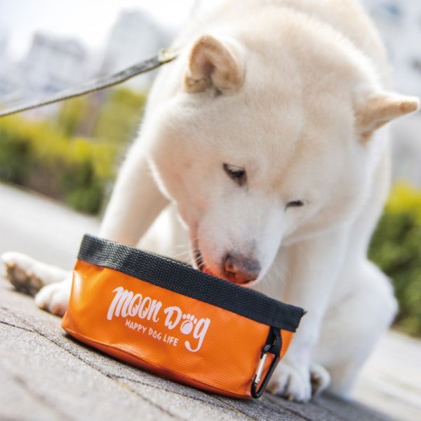 Photo1: MOON Dog Pet Bowl (1)
