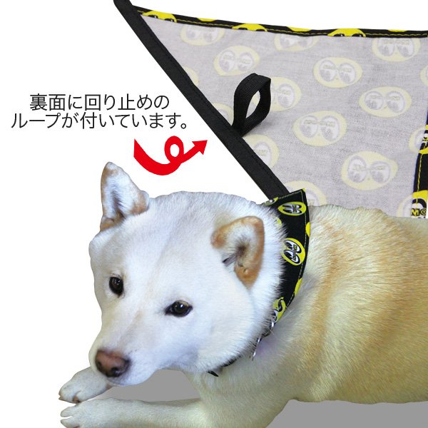 Photo4: MOON Eyeball Doggy Bib (4)