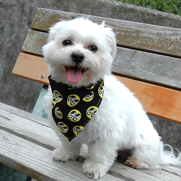 Photo3: MOON Eyeball Doggy Bib (3)