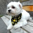 Photo5: MOON Eyeball Doggy Bib (5)